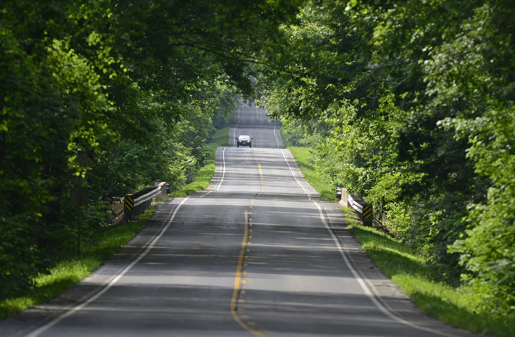 062415-nws-wild-road.jpg